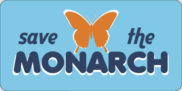 Picture of Butterflies 17355833