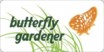 Picture of Butterflies 17356537