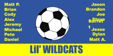 Picture of Soccer 15122231