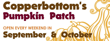 Picture of Halloween 14979075