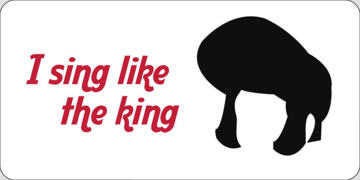 Picture of Elvis 17517837