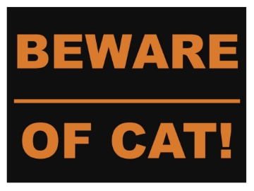 Picture of Funny 7081967