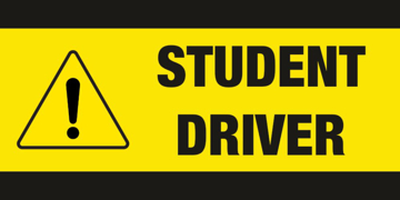 Picture of Student Driver 8