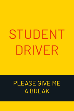 Picture of 18" x 12" Student Driver 7