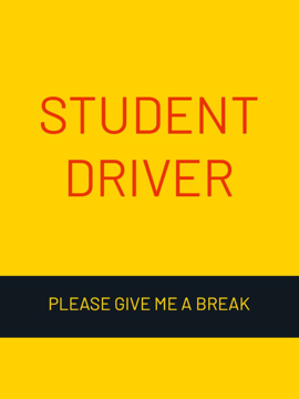 Picture of 24" x 18" Student Driver 7