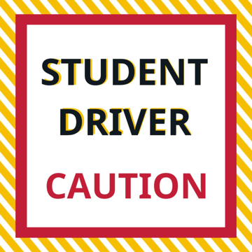 Picture of 24" x 24" Student Driver 4