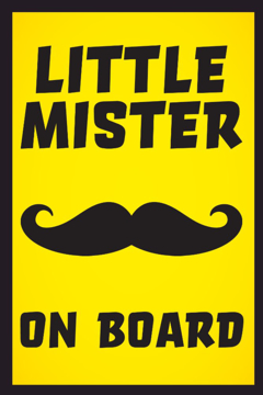 Picture of 18" x 12" Baby On Board 5