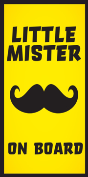 Picture of 24" x 12" Baby On Board 5