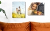 Picture of 8" x 10" Acrylic Prints PFF