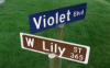 Picture of Street Signs