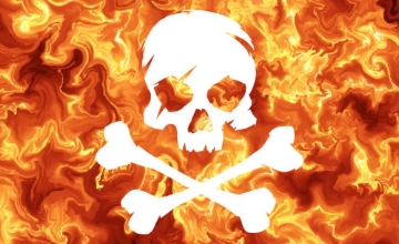 Picture of Novelty Flag 5