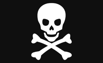 Picture of Novelty Flags 879538562