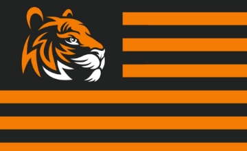 Picture of Sports Flag 4