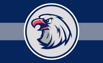 Picture of Sports Flag 6