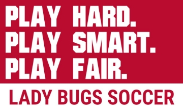 Picture of Sports Flags 2