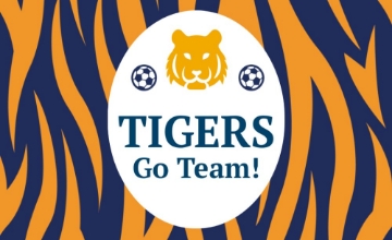 Picture of Sports Flags 7