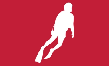 Picture of Sports Flags 875610732