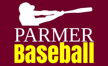 Picture of Sports Flags 877441455