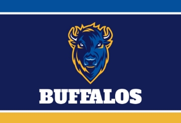 Picture of Sports Flag 8 - 2x3