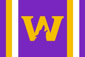 Picture of Sports Flag 5 - 4x6