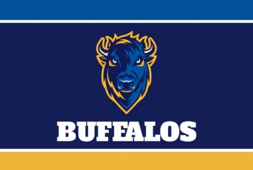 Picture of Sports Flag 8 - 4x6