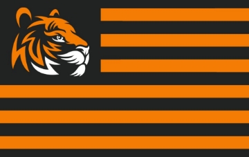 Picture of Sports Flag 4- 5x8