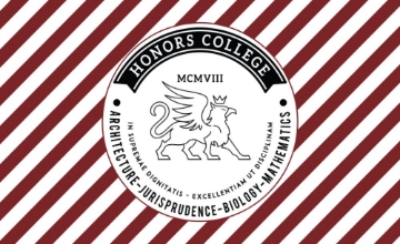 Picture of School Flag 2