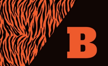 Picture of School Flag 5