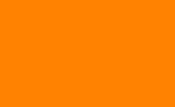 Picture of Orange Flag
