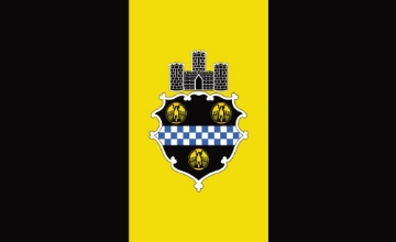 Picture of Pittsburgh, PA Flag