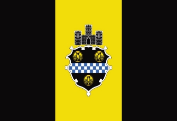 Picture of Pittsburgh, PA Flag- 2x3