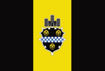 Picture of Pittsburgh, PA Flag- 4x6