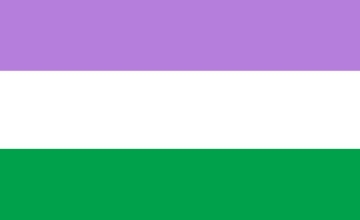 Picture of Genderqueer Pride Flag