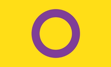 Picture of Intersex Pride Flag