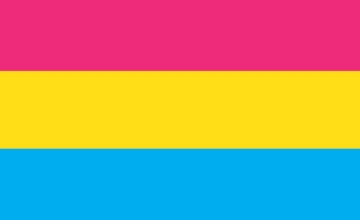 Picture of Pansexual Pride Flag