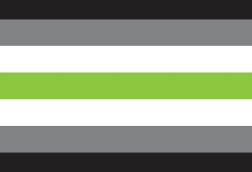 Picture of Agender Pride Flag- 2x3