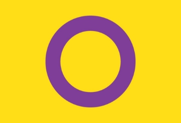Picture of Intersex Pride Flag- 2x3