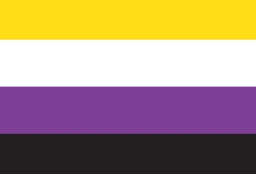 Picture of Non-Binary Pride Flag- 2x3