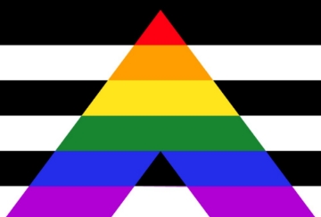 Picture of Straight Ally Pride Flag- 4x6