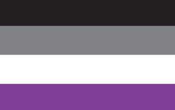 Picture of Asexual Pride Flag- 5x8
