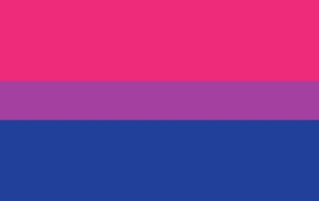 Picture of Bisexual Pride Flag- 5x8