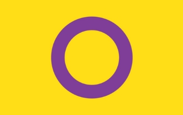 Picture of Intersex Pride Flag- 5x8
